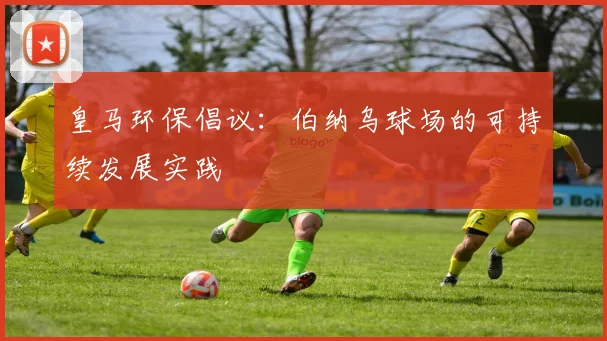 皇马环保倡议:伯纳乌球场的可持续发展实践